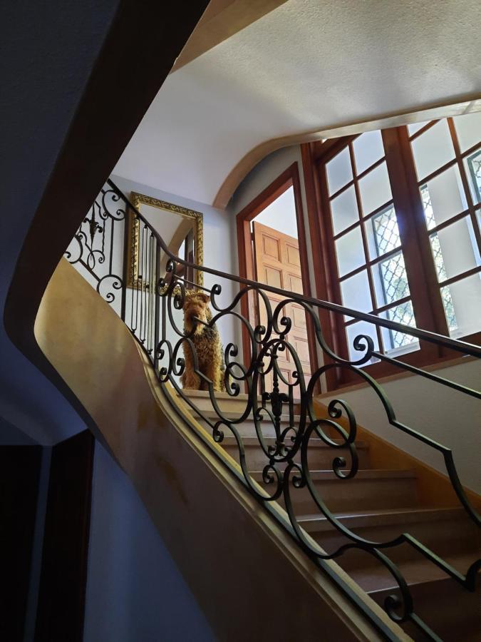 Saint-Victor-sur-Rhins Le Clos Des Soyeux מראה חיצוני תמונה