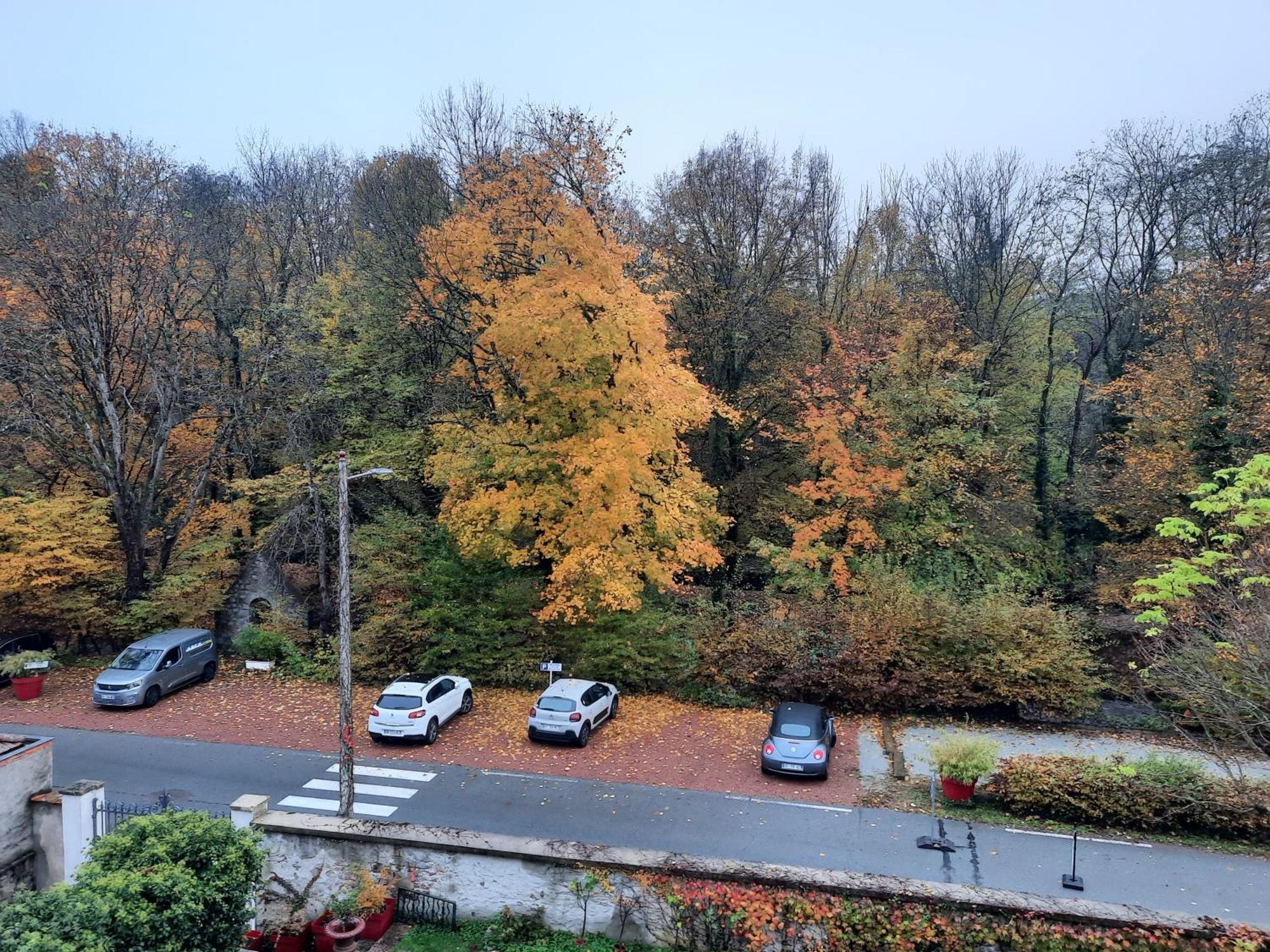 Saint-Victor-sur-Rhins Le Clos Des Soyeux מראה חיצוני תמונה