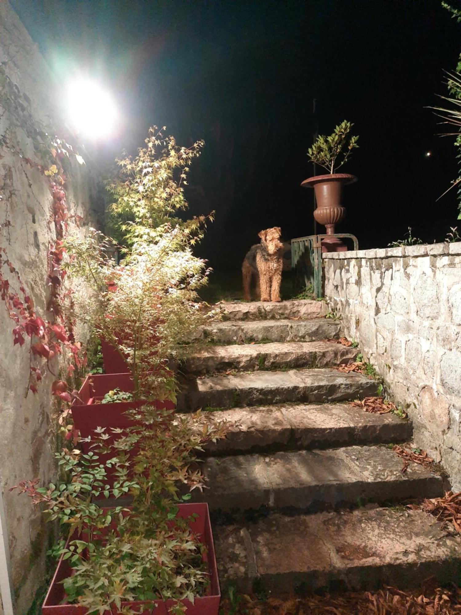 Saint-Victor-sur-Rhins Le Clos Des Soyeux מראה חיצוני תמונה