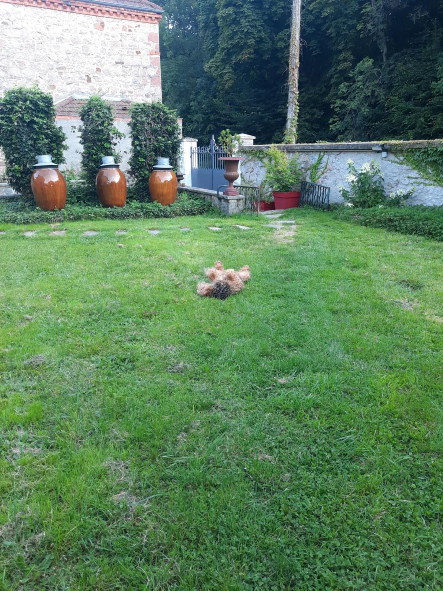 Saint-Victor-sur-Rhins Le Clos Des Soyeux מראה חיצוני תמונה