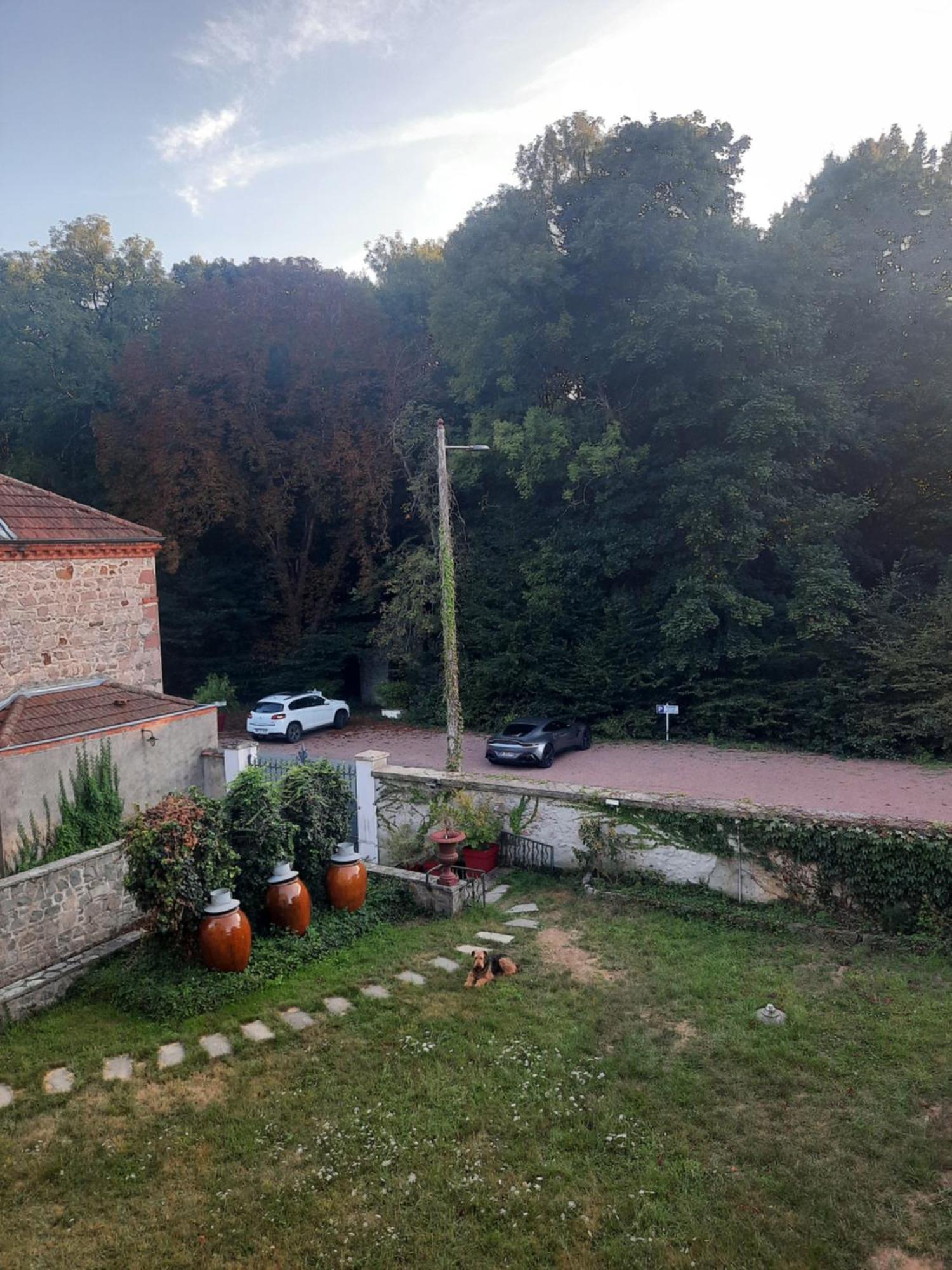 Saint-Victor-sur-Rhins Le Clos Des Soyeux מראה חיצוני תמונה
